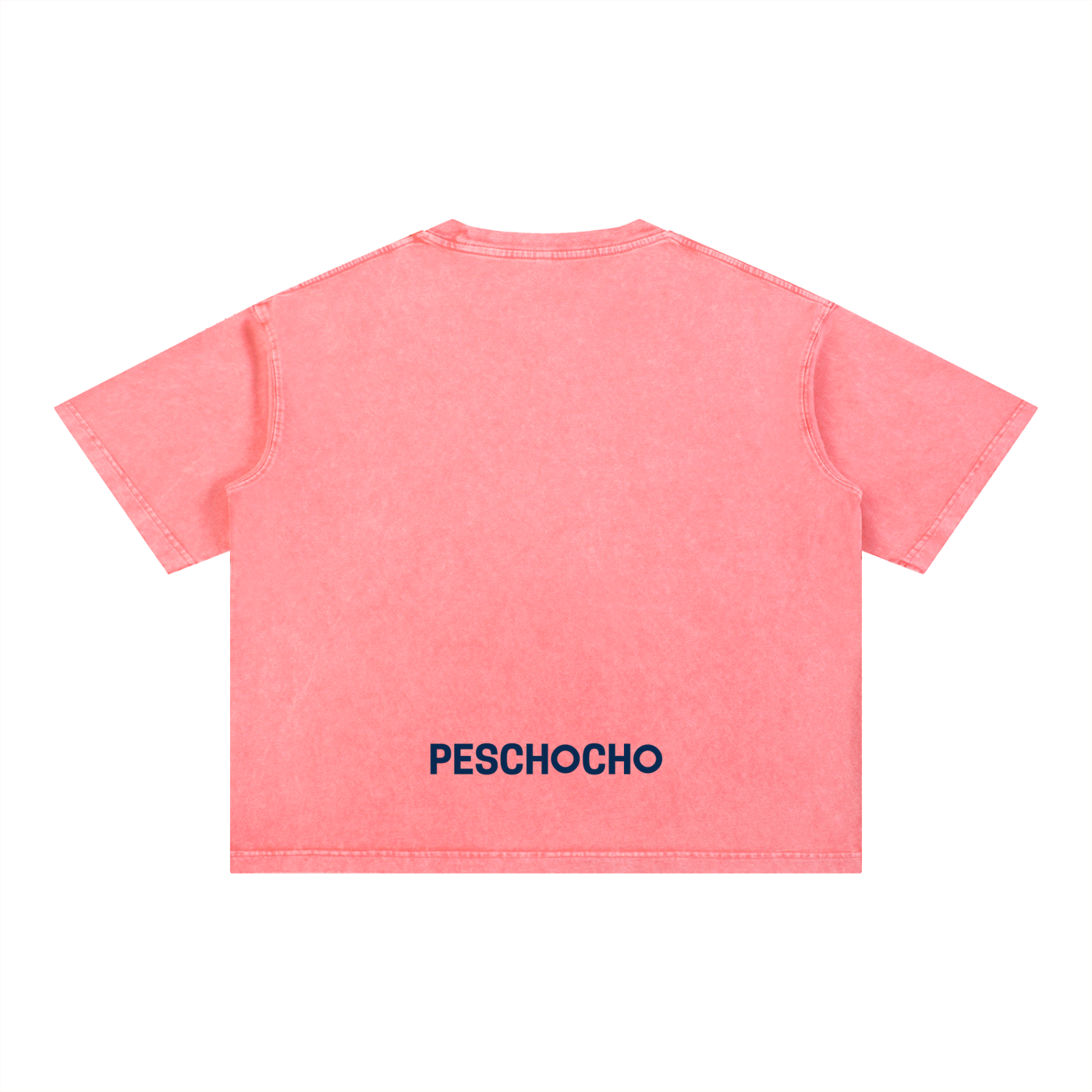 PESCHOCHO Mineral Wash Boxy Cotton T-Shirt